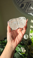Clear Quartz Intricate Dragon Carving 217i