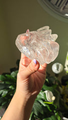 Clear Quartz Intricate Dragon Carving 217i