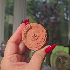 Stromatolite from Morocco 18