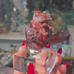 Fire Quartz Anatomical Heart 35y