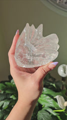 Clear Quartz Intricate Dragon Carving 217i