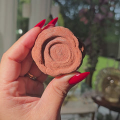 Stromatolite from Morocco 20