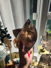 Smoky Quartz Twin Flame Clearance 417x