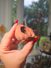 Stromatolite from Morocco 20