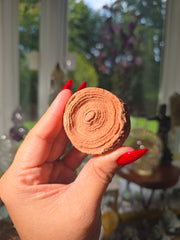 Stromatolite from Morocco 18
