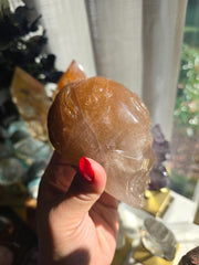 Amphibole Sea Collection Skull 576i