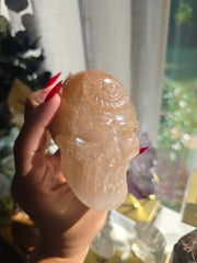 Amphibole Sea Collection Skull 576i
