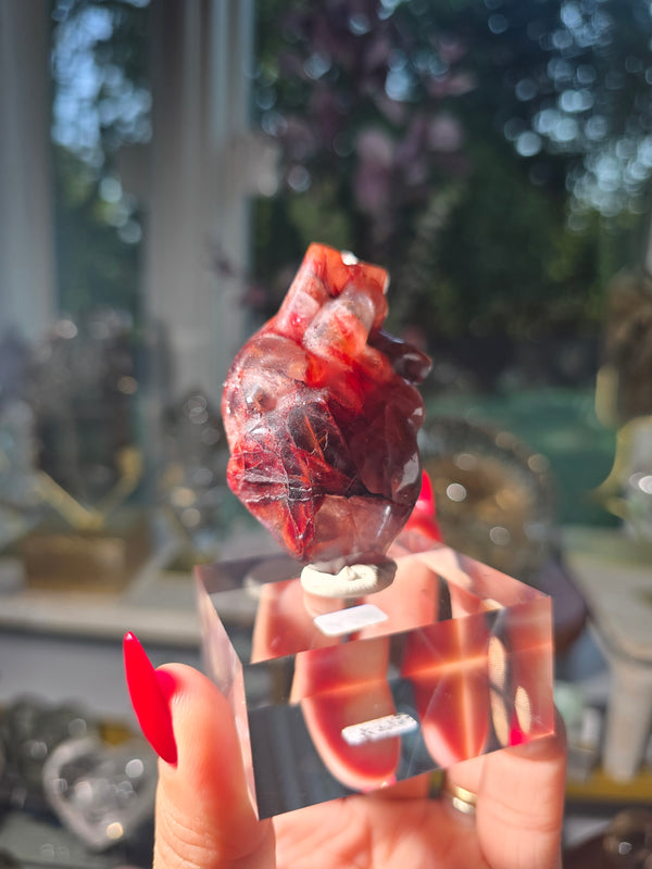 Fire Quartz Anatomical Heart 35y