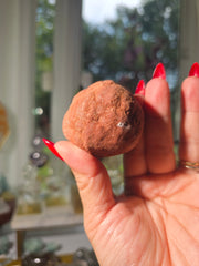 Stromatolite from Morocco 20